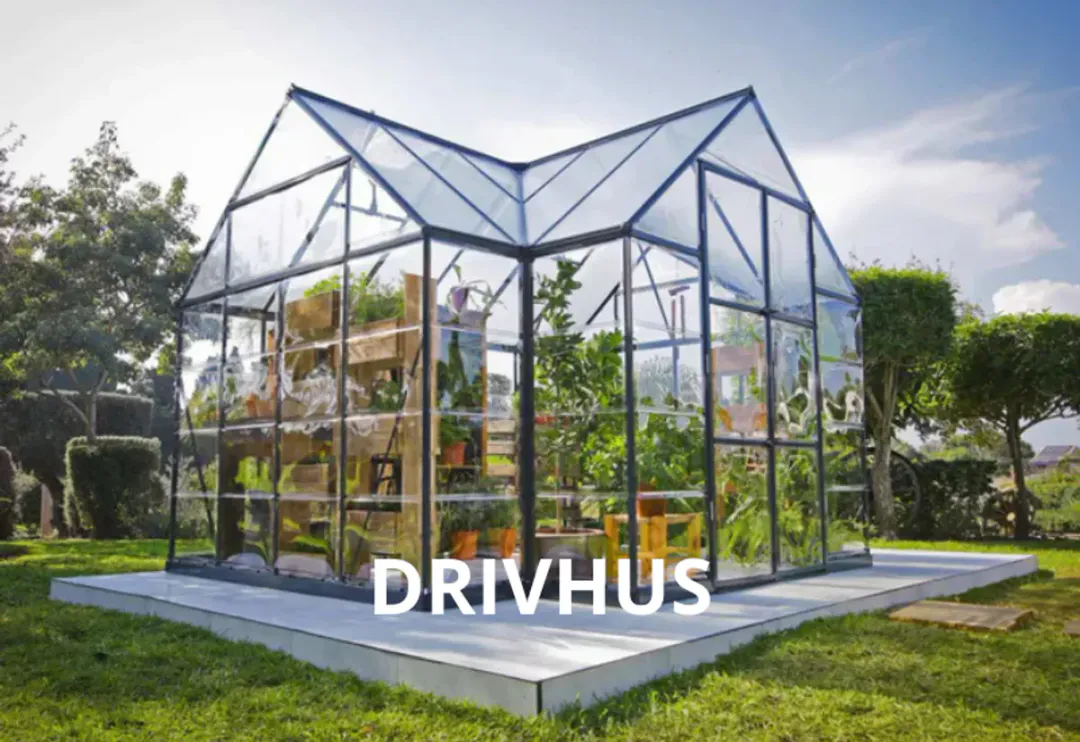 Drivhus