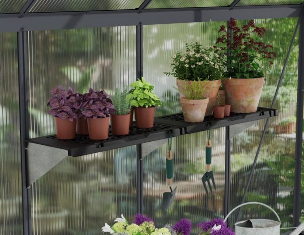 Canopia by Palram - Drivhus hyllesett Signature 2Pk